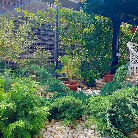 The Of Silver Sky House Appartement *