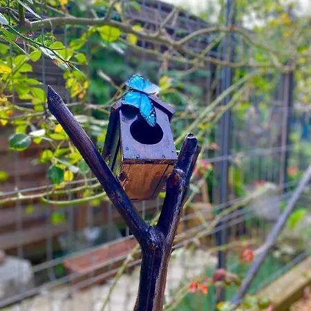 The Of Silver Sky House Timişoara