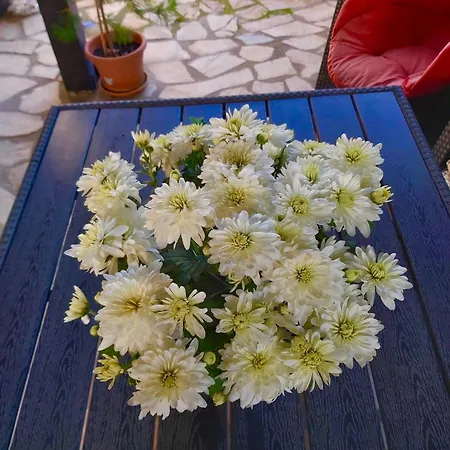 The Of Silver Sky House アパート ティミショアラ