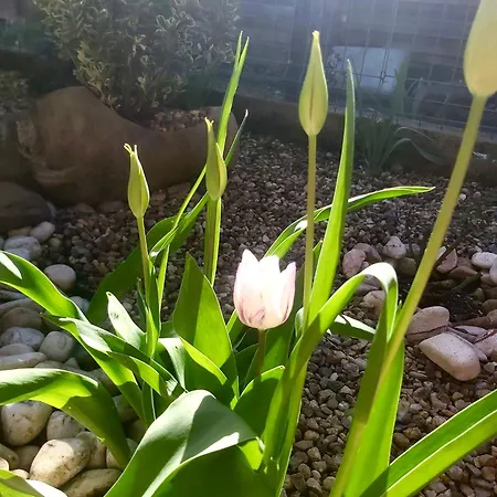 The Of Silver Sky House *