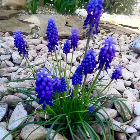 Appartement The Of Silver Sky House Timişoara