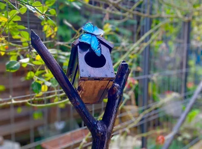 The Of Silver Sky House Timişoara