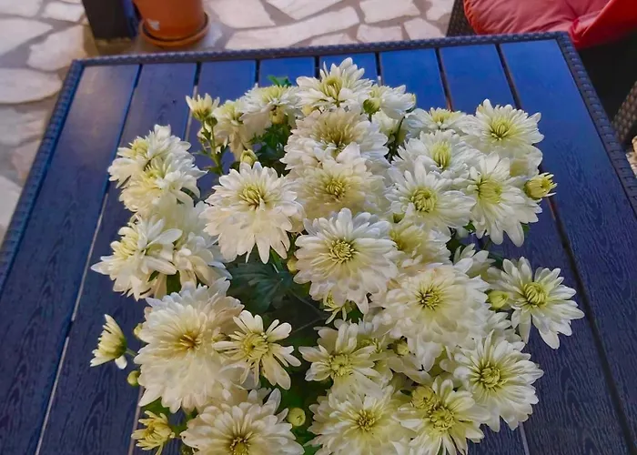 The Of Silver Sky House アパート ティミショアラ