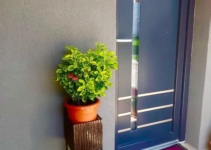 The Of Silver Sky House * ティミショアラ