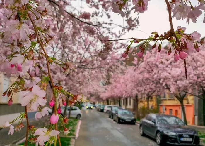 アパート The Of Silver Sky House