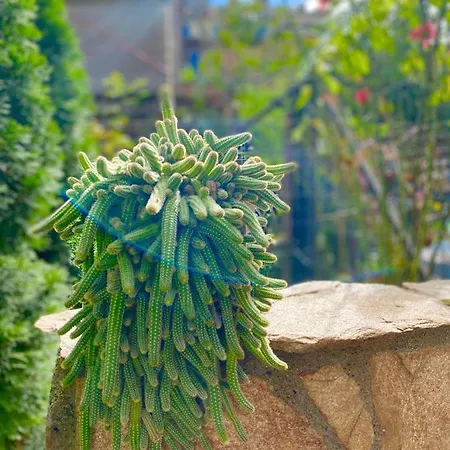 The Of Silver Sky House Апартаменти Тімішоара