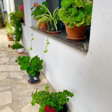 The Of Silver Sky House Апартаменти *