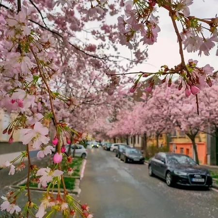 Апартаменти The Of Silver Sky House