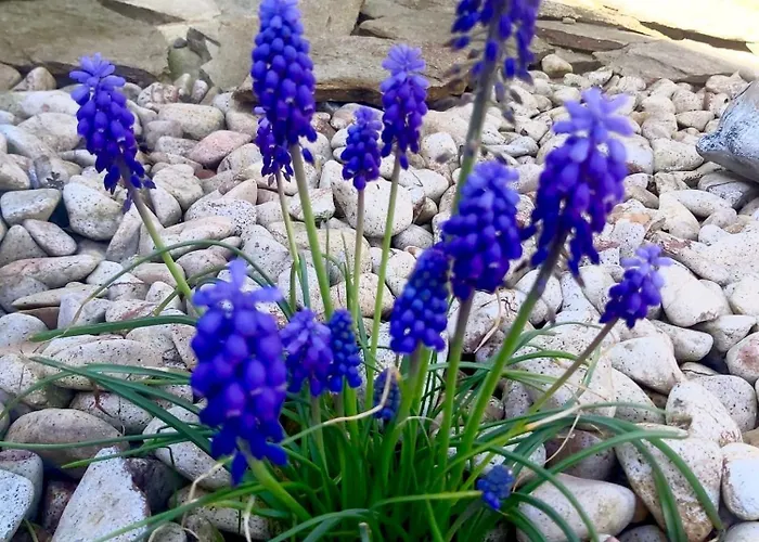 Apartamento The Of Silver Sky House Timisoara